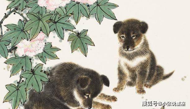 见兔顾犬打一最佳生肖,警惕虚假宣传落实,全面解答解释落实