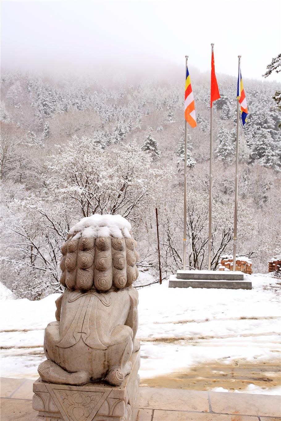 旁门左道谁能及，雪中应学山上松打一准确生肖,警惕虚假宣传落实,全面解答解释落实