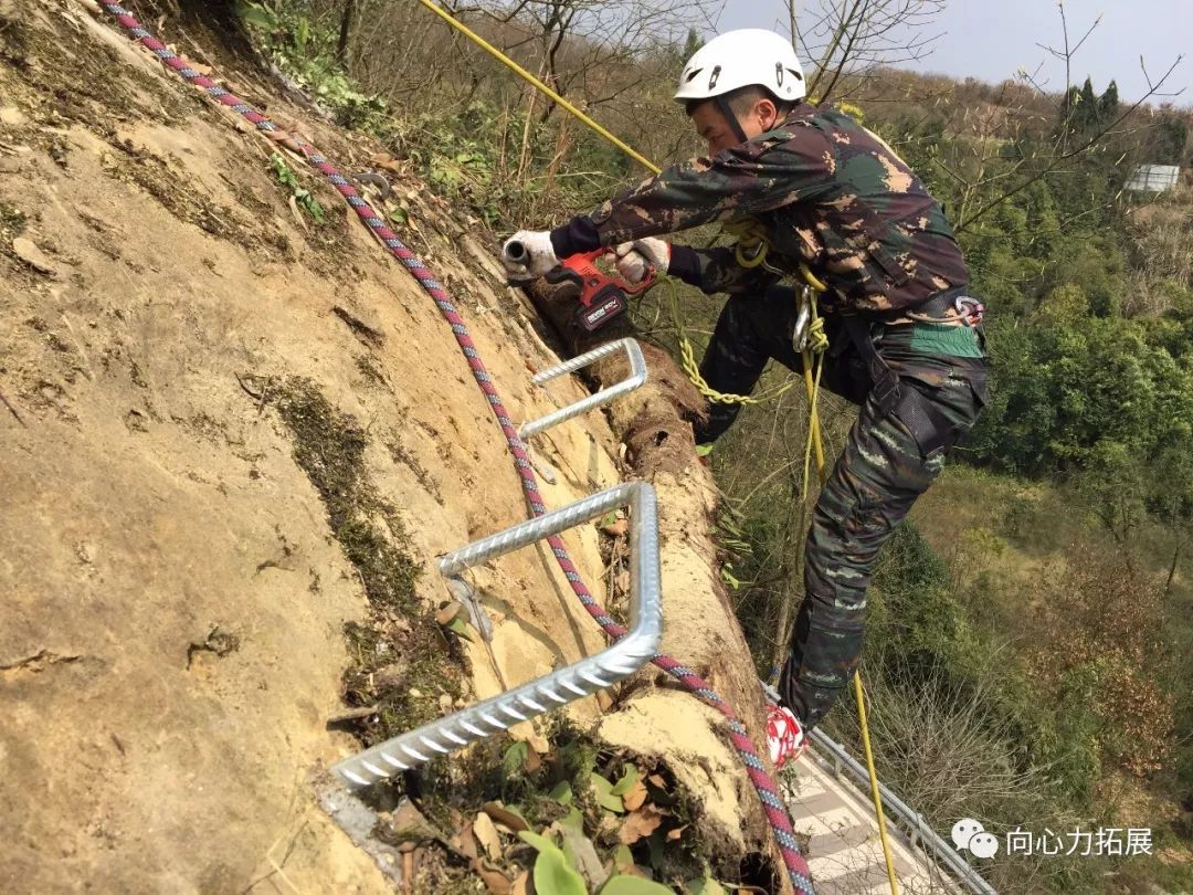 瓜田李下五六加，五尘四四马先去打一最佳准确生肖,警惕虚假宣传-全面释义、解释与落实、前沿解答解释落实