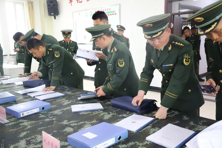 月落乌啼霜满天是什么生肖，全面释义、专家解答解释落实