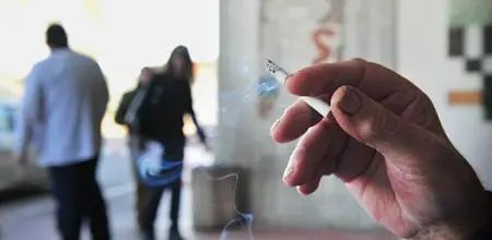 幾分姿色，毋須行乞，女子無財總易得打一正确生肖、警惕虚假宣传-全面释义、全面解答解释落实